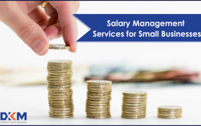 Salary Management Services for Small Businesses